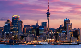 India - New Zealand Business Meet